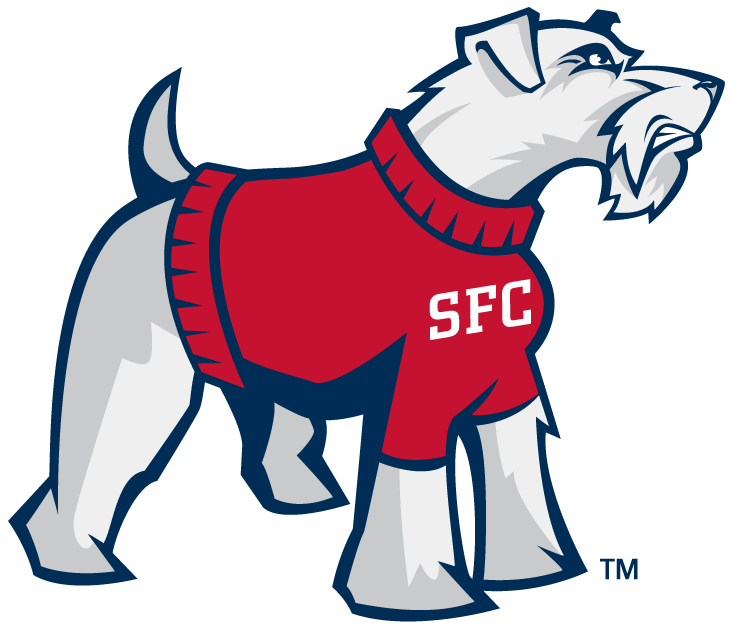 St. Francis Terriers 2001-2013 Alternate Logo v2 iron on transfers for clothing